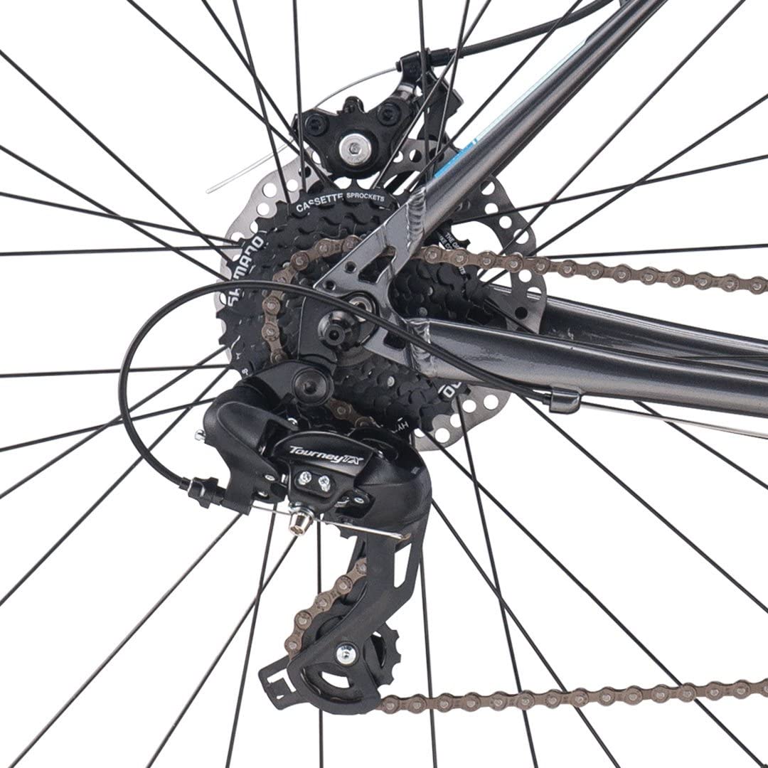 Raleigh Alysa 2 Review: Is It A Good Starter Bike