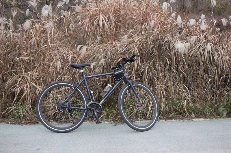 bike leaning against bush