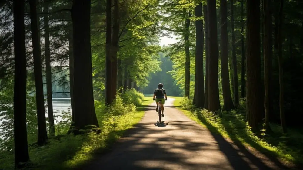 eco-friendly belt drive bicycles