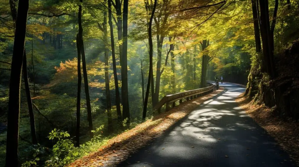 Best Cycling Routes in Blue Ridge Parkway