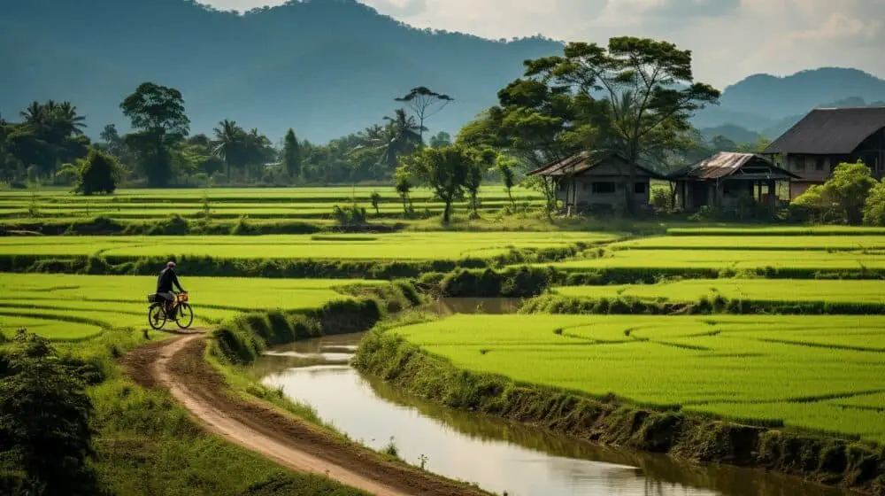 Best Cycling Routes in The Mekong Delta