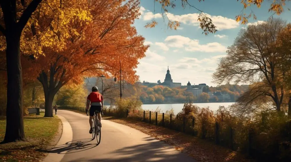 Best Cycling Routes in Vienna